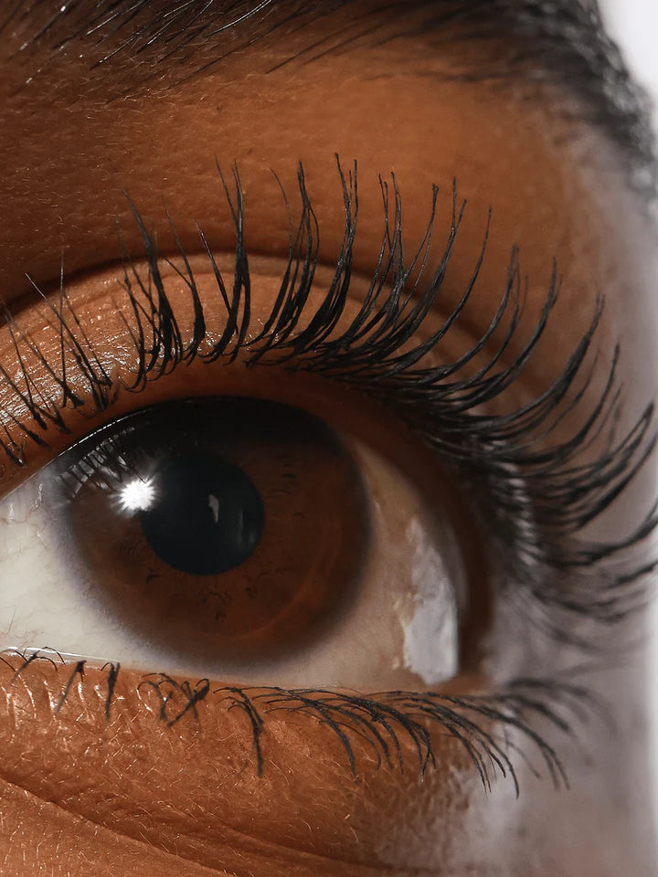 REFY, LASH SCULPT
