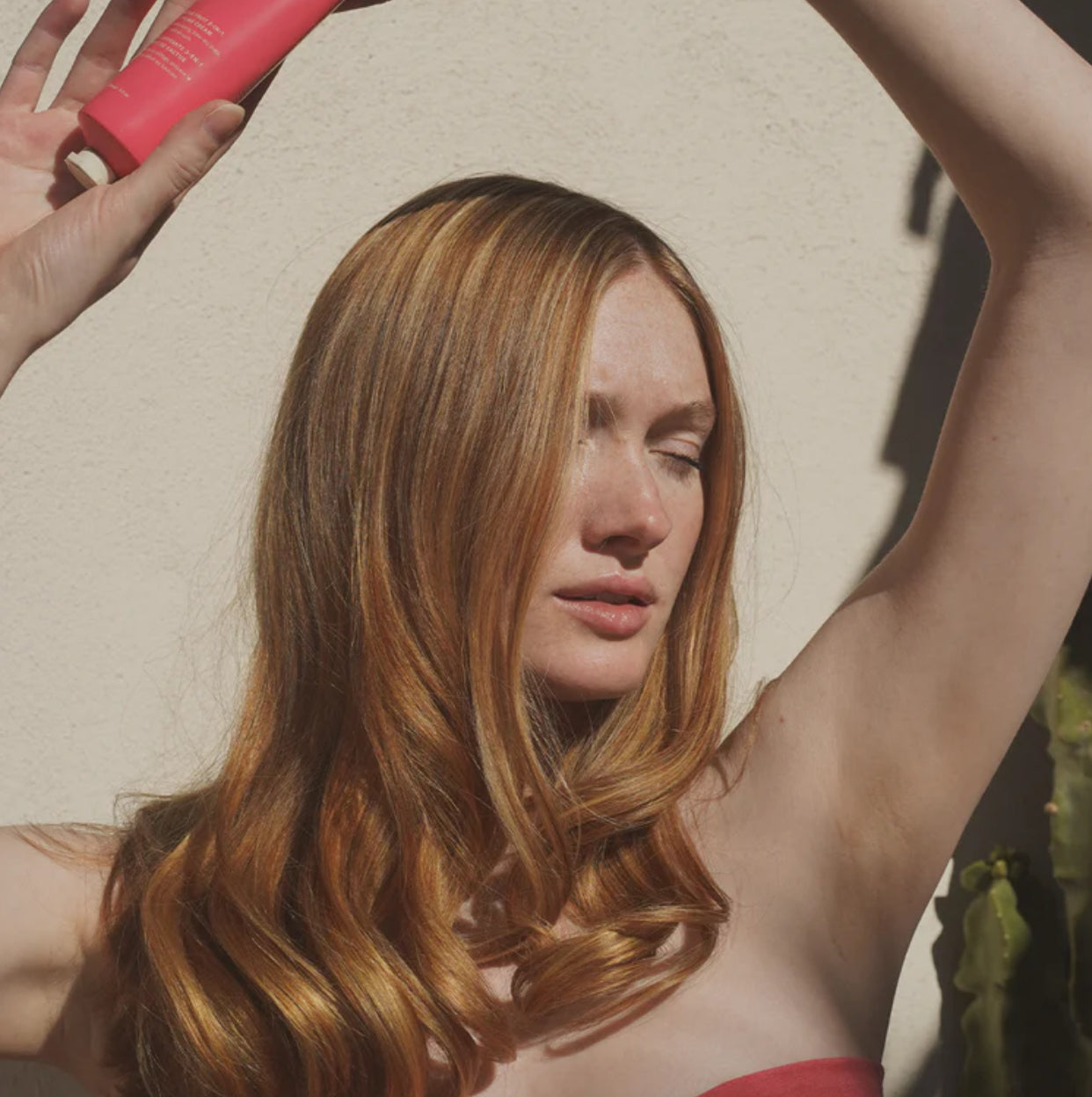 DAE, DAE BESTSELLERS TRIO