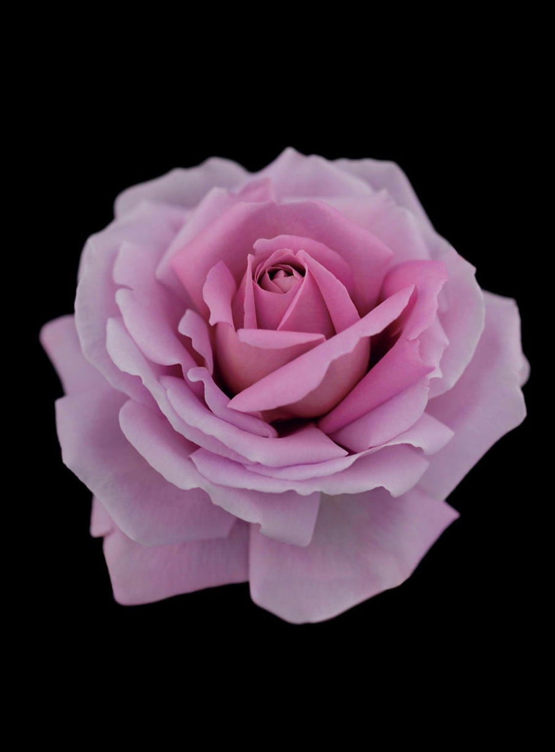 Clé de Peau Beauté, Synactif Cream