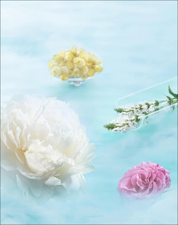 FLORASIS, BOTANICAL HYDRA-SOOTHE BALANCING CLEANSING OIL TRAVEL SIZE,