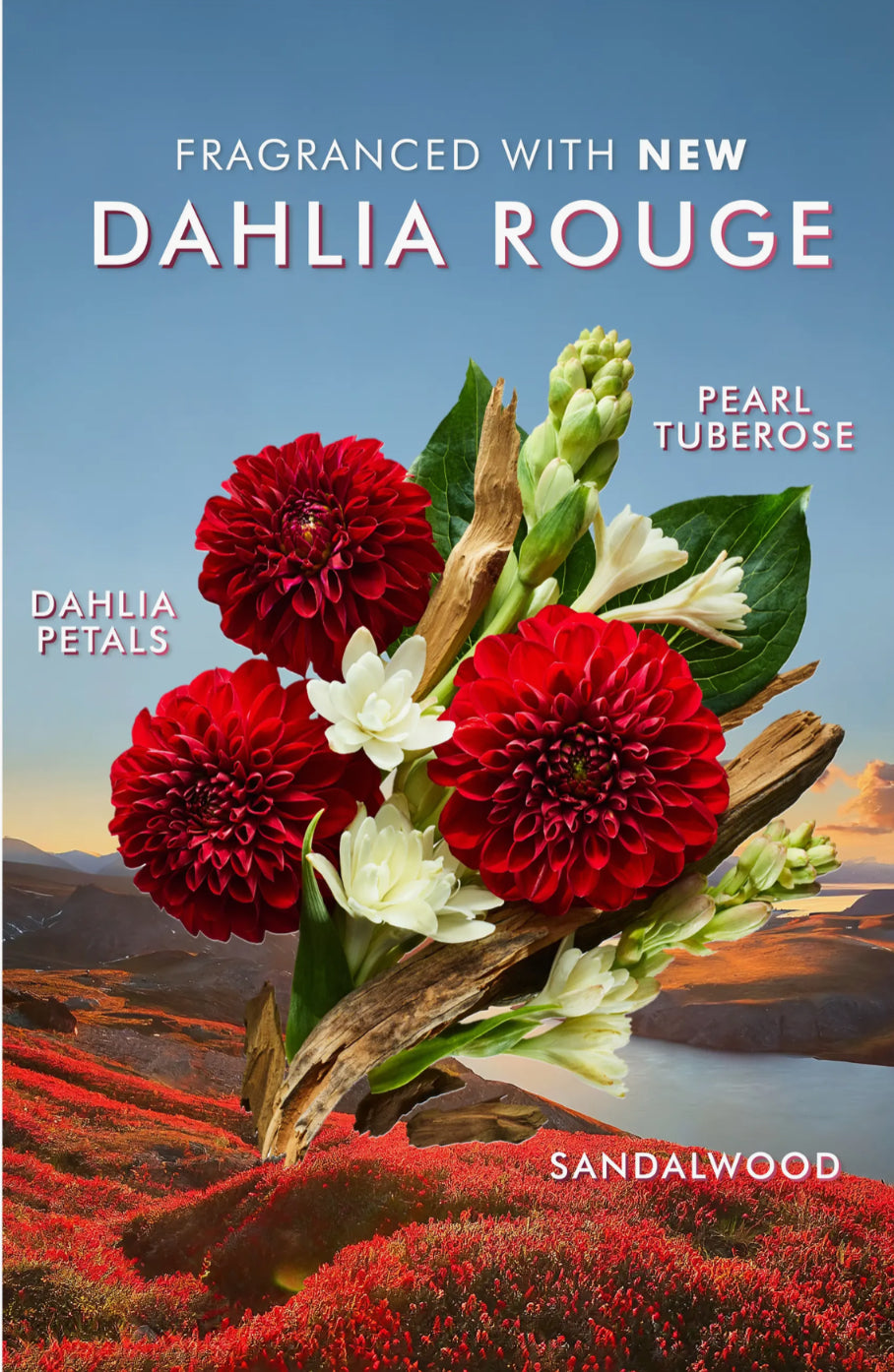 MOROCCAN OIL, Dahlia Rouge Body Care Set