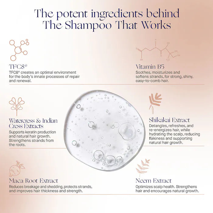 Augustinus Bader, The Shampoo