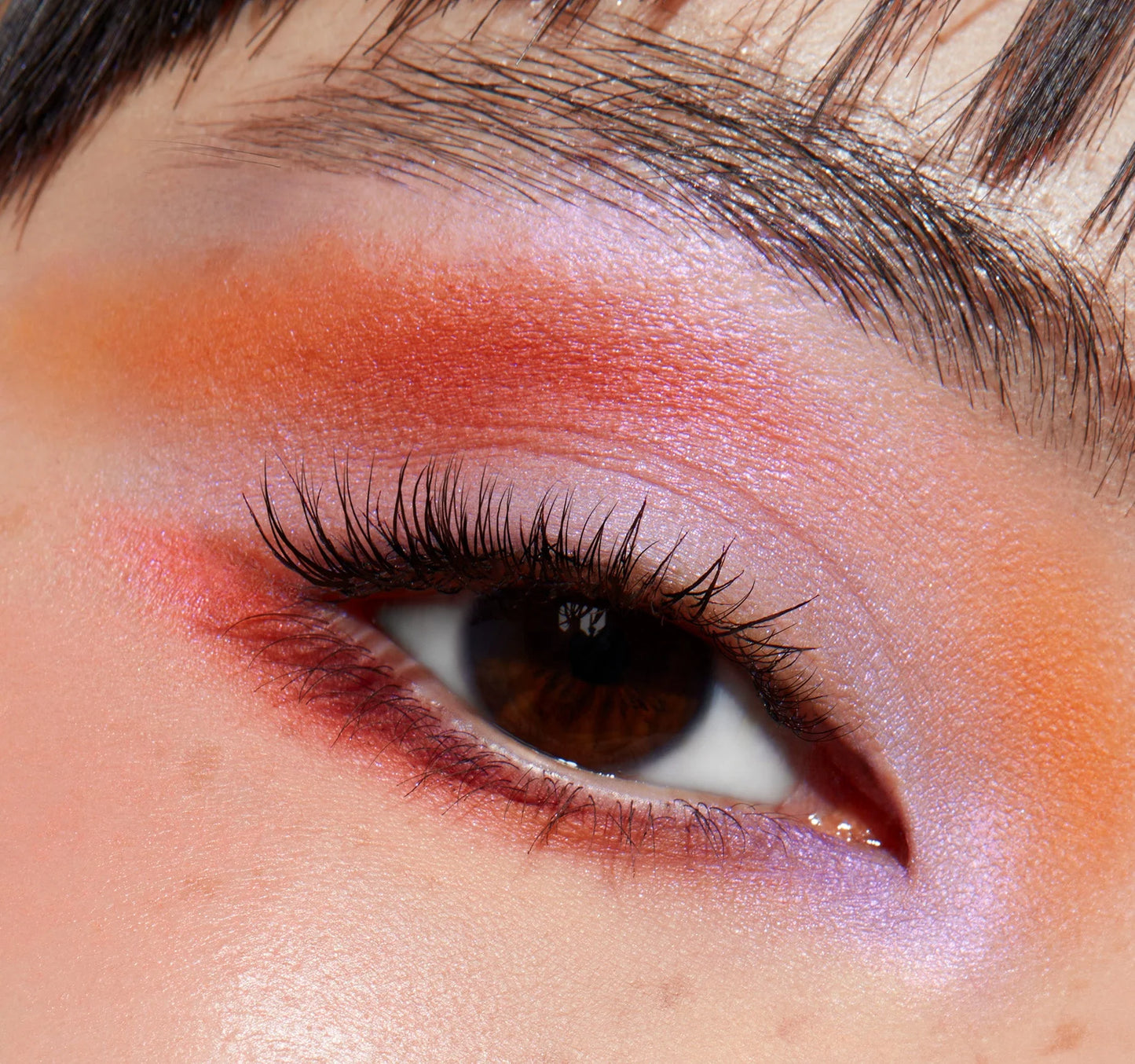 MORPHE 2, READY FOR ANYTHING EYESHADOW PALETTE - SOCIAL BUTTERFLY