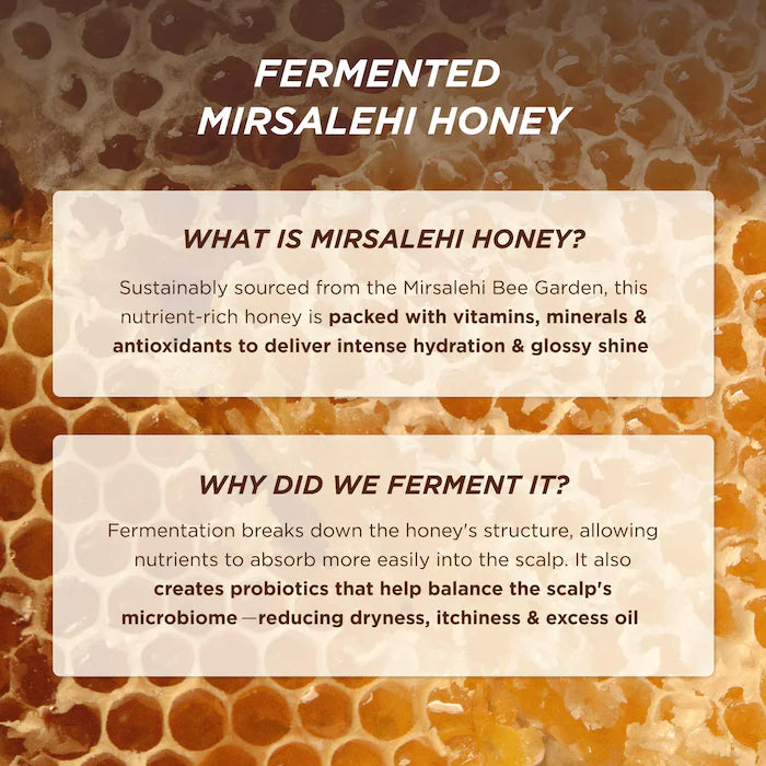 Honey Gloss Ceramide Therapy Hydrating Shampoo