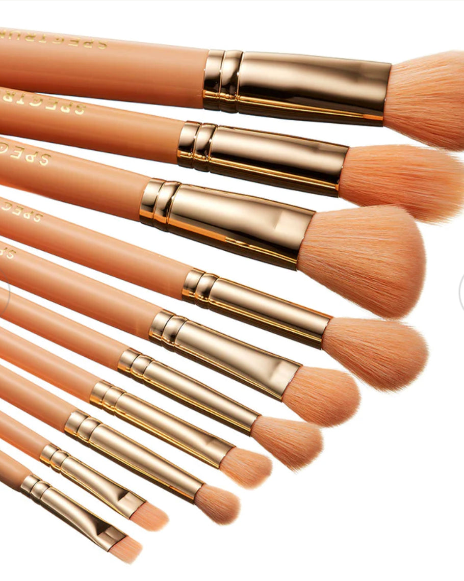 SPECTRUM, Glam Clam 10 Piece Makeup Brush Set in Bag