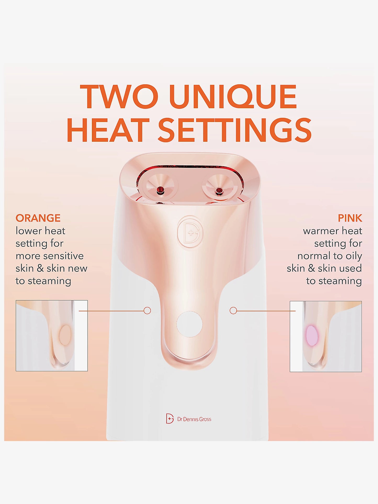 DR DENNIS GROSS SKINCARE, Pro Facial Steamer Device