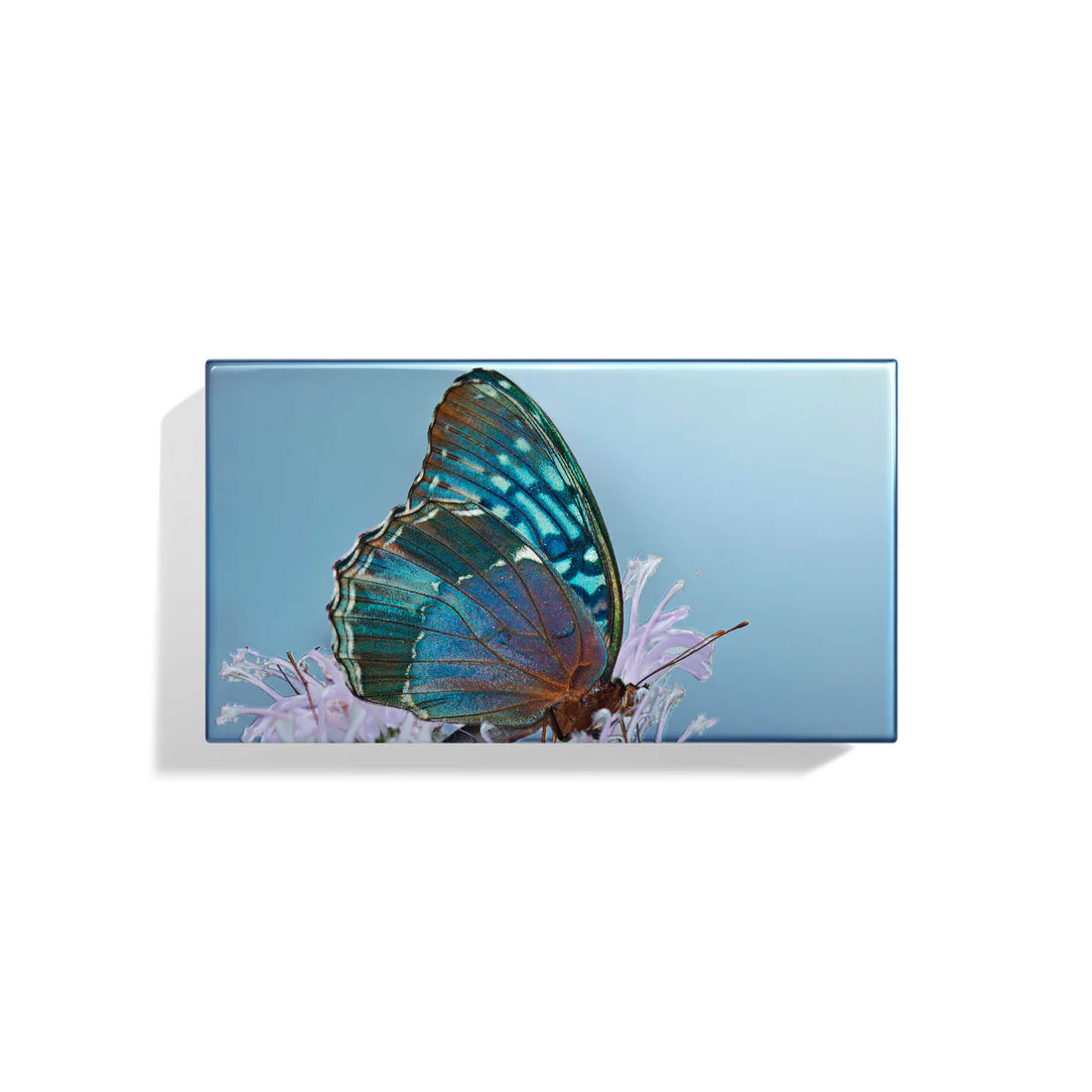 CHANTECAILLE, Les Papillons Diana Eye Trio