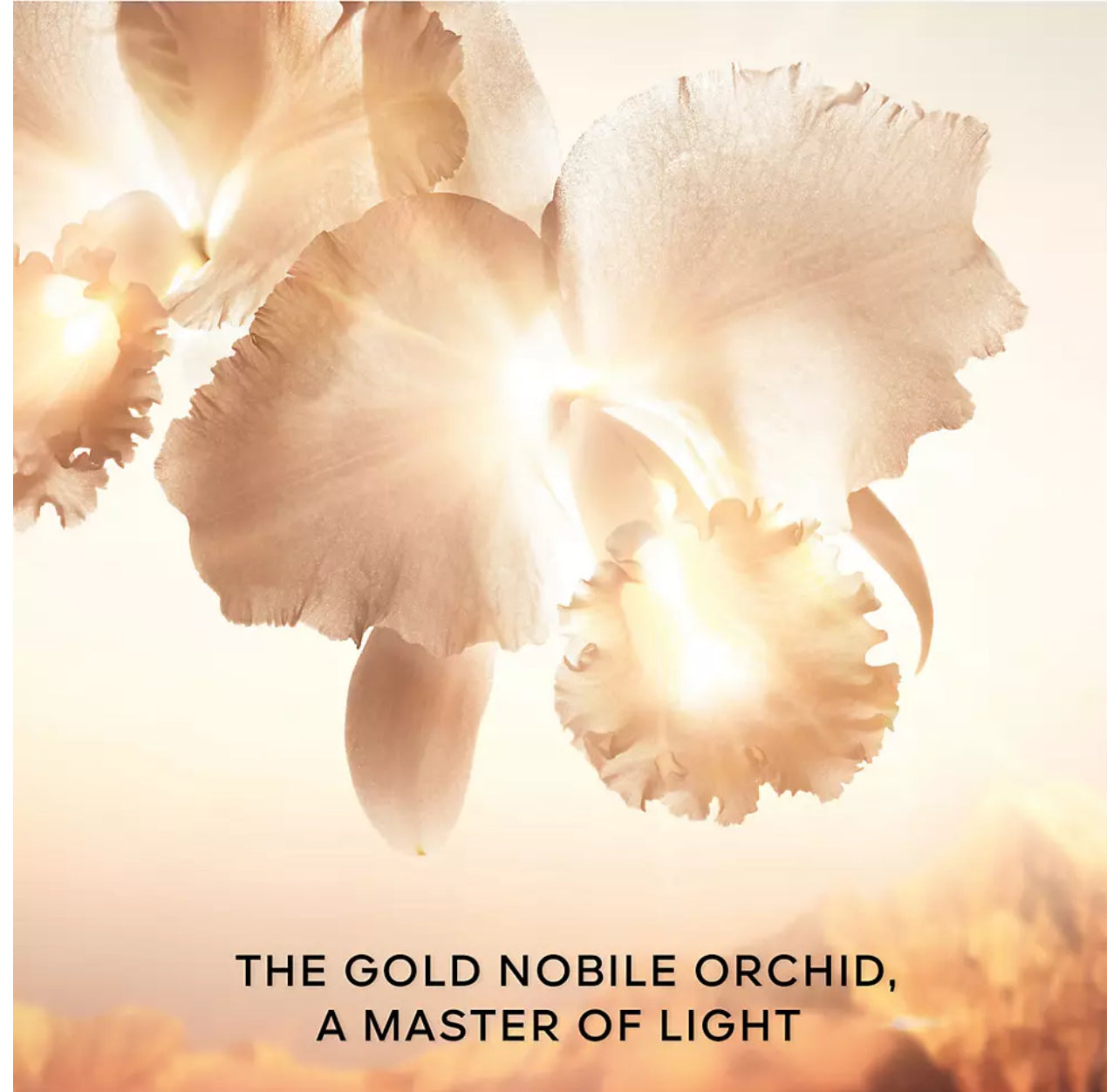 Guerlain Orchidée Impériale Gold Nobile 3-Piece Skincare Set