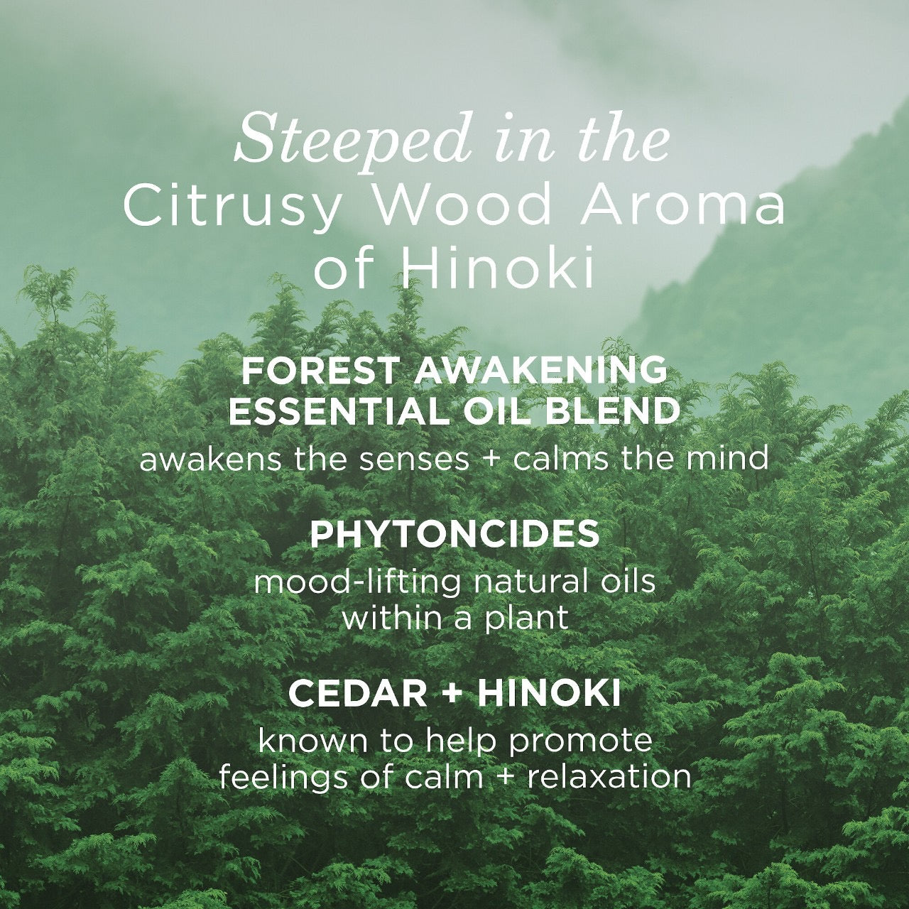 Tatcha Forest Awakening Body Travel Set