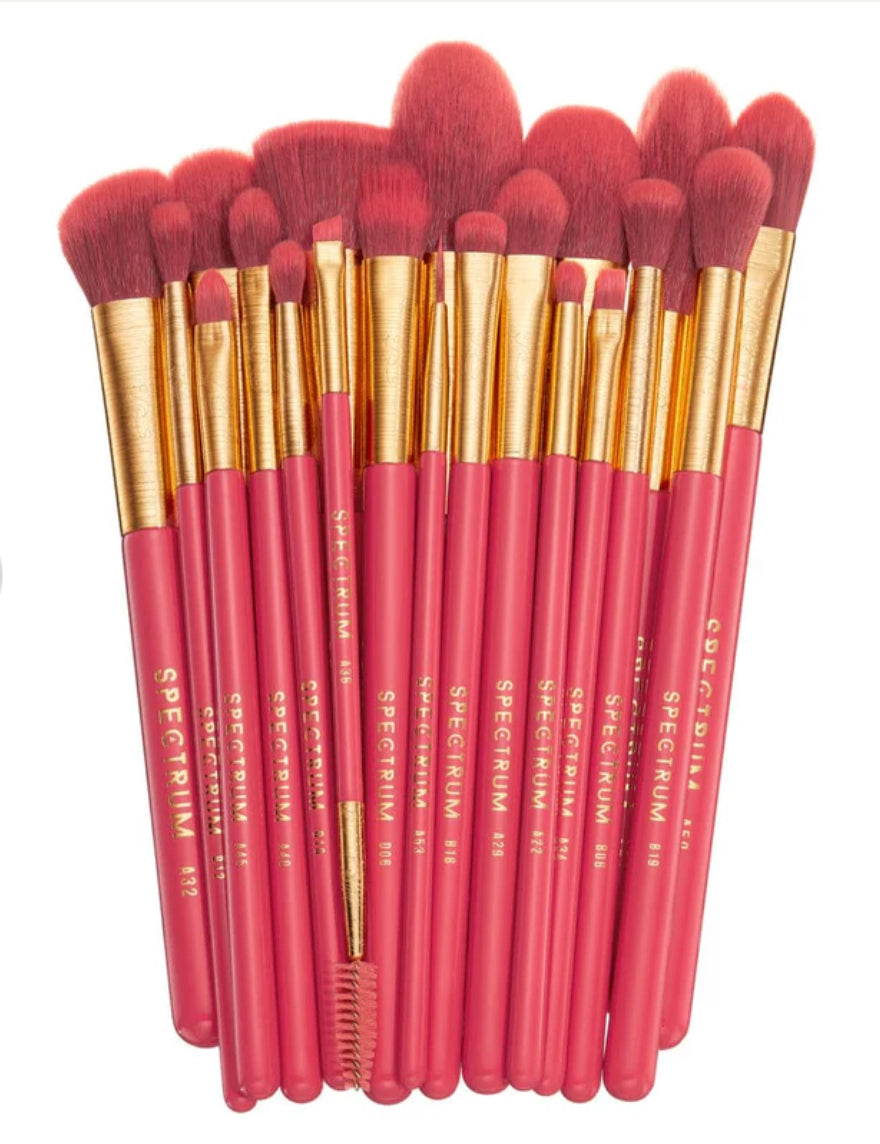Spectrum Deluxe 20 Piece Brush Set