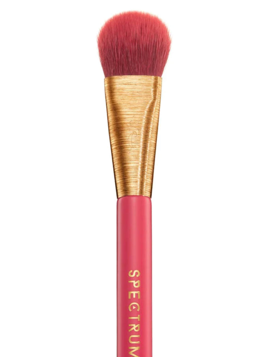 Spectrum Deluxe 20 Piece Brush Set