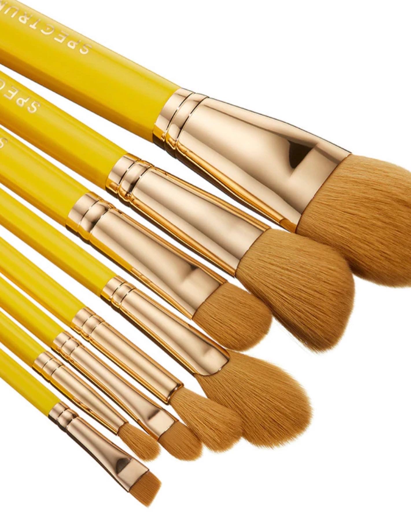 SPECTRUM, WINNIE THE POOH 8 PC BRUSH SET