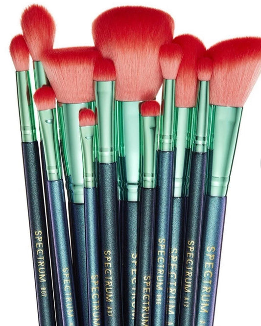 SPECTRUM, ARIEL 12 pc BRUSH SET AND ROLL