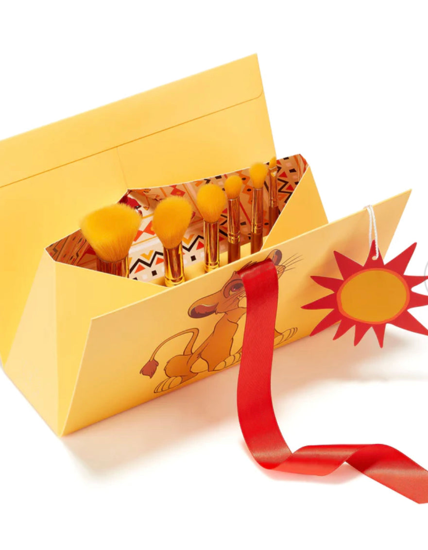 SPECTRUM, Simba 6 Piece Giftable Brush Set