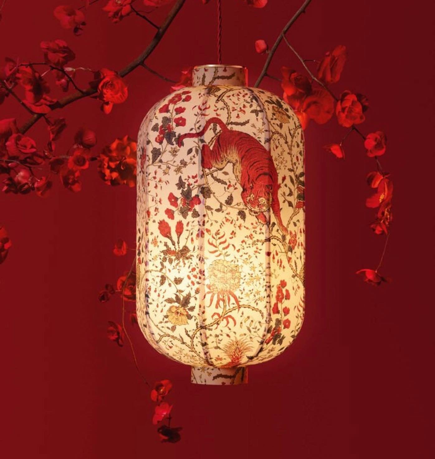 DIOR, ROUGE DIOR LUNAR NEW YEAR LIMITED EDITION