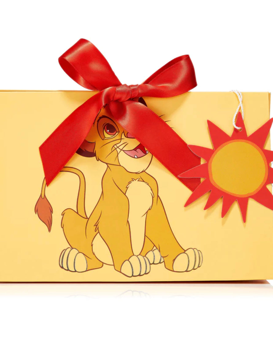 SPECTRUM, Simba 6 Piece Giftable Brush Set