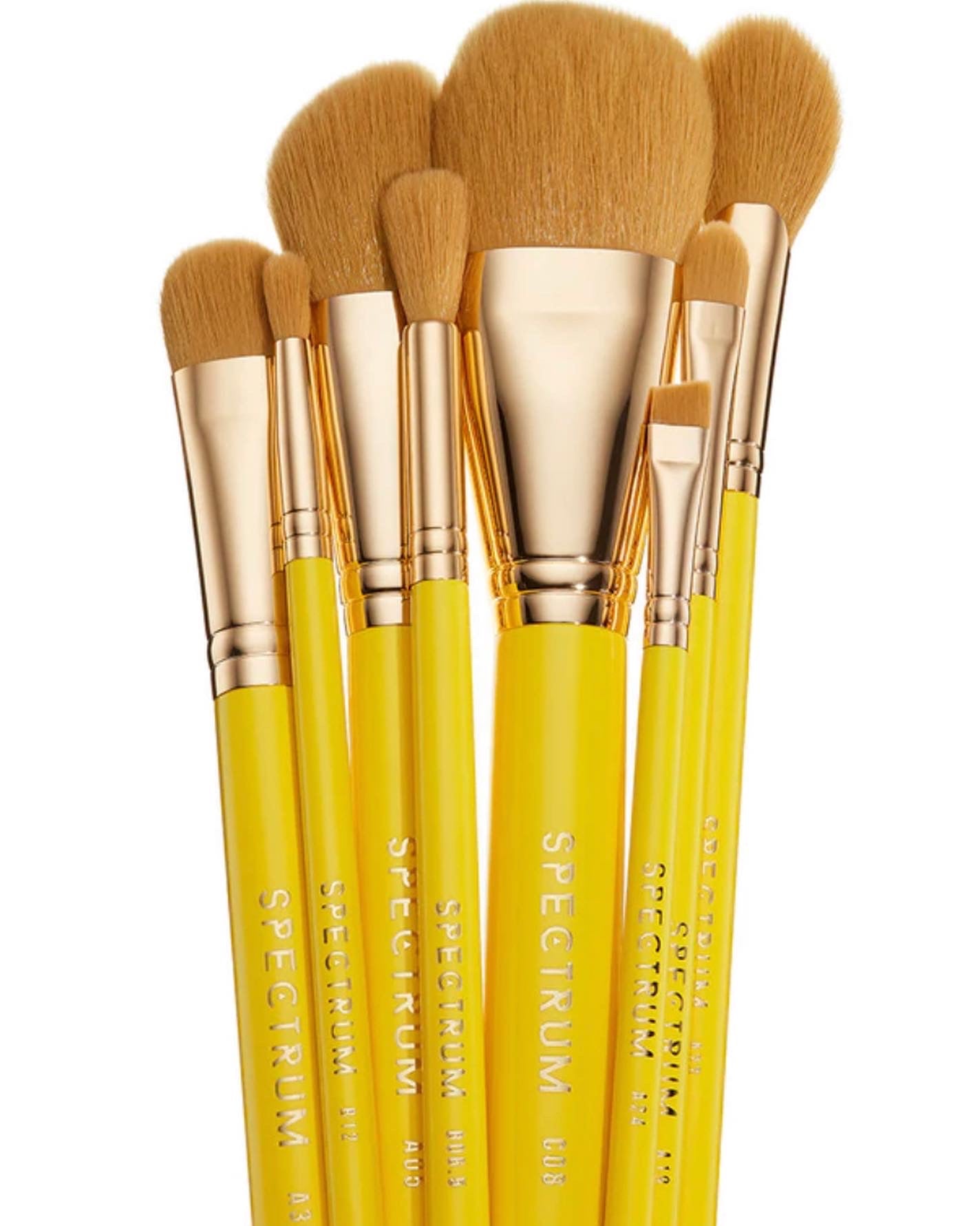 SPECTRUM, WINNIE THE POOH 8 PC BRUSH SET
