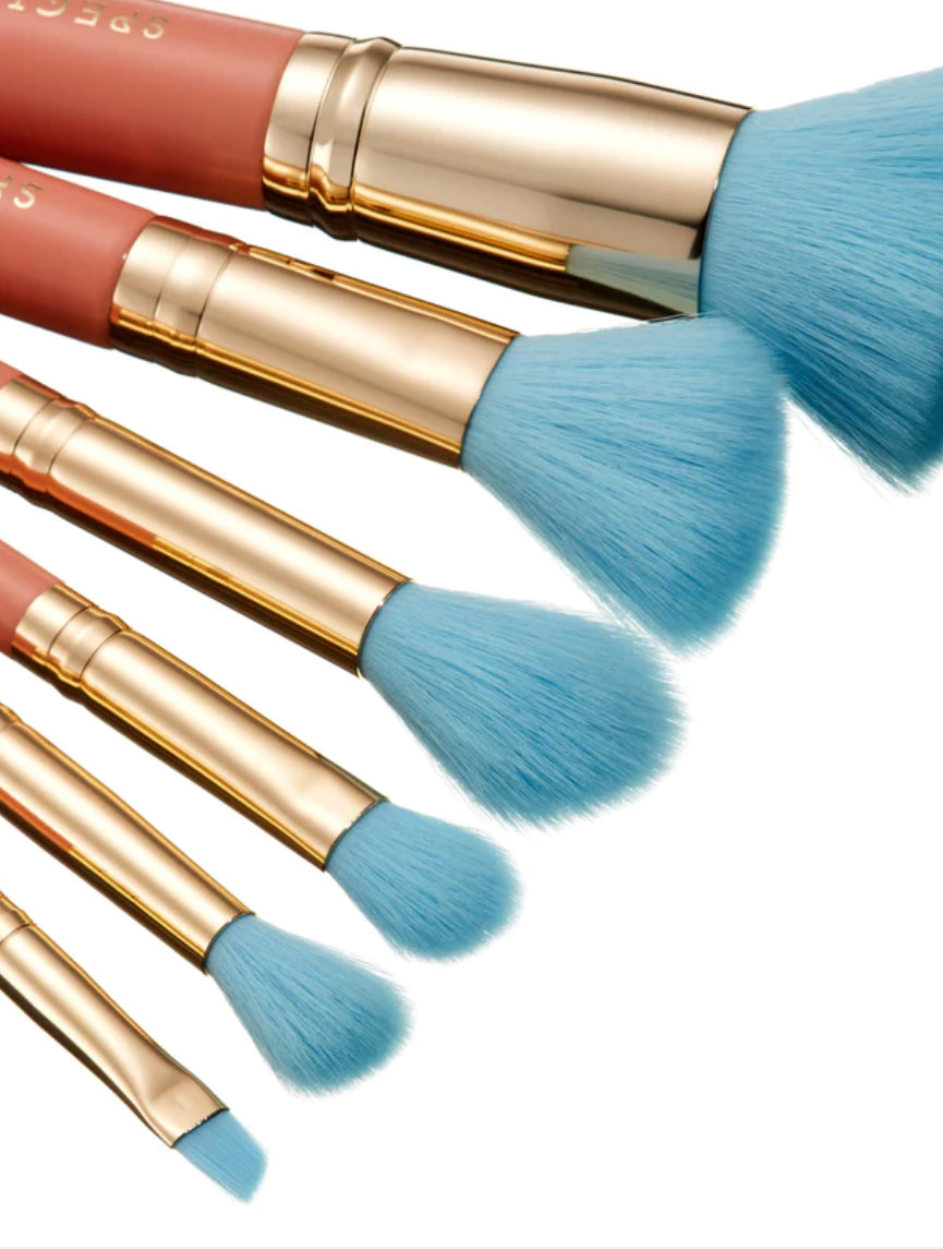 SPECTRUM, Dumbo 6 Piece Giftable Brush Set