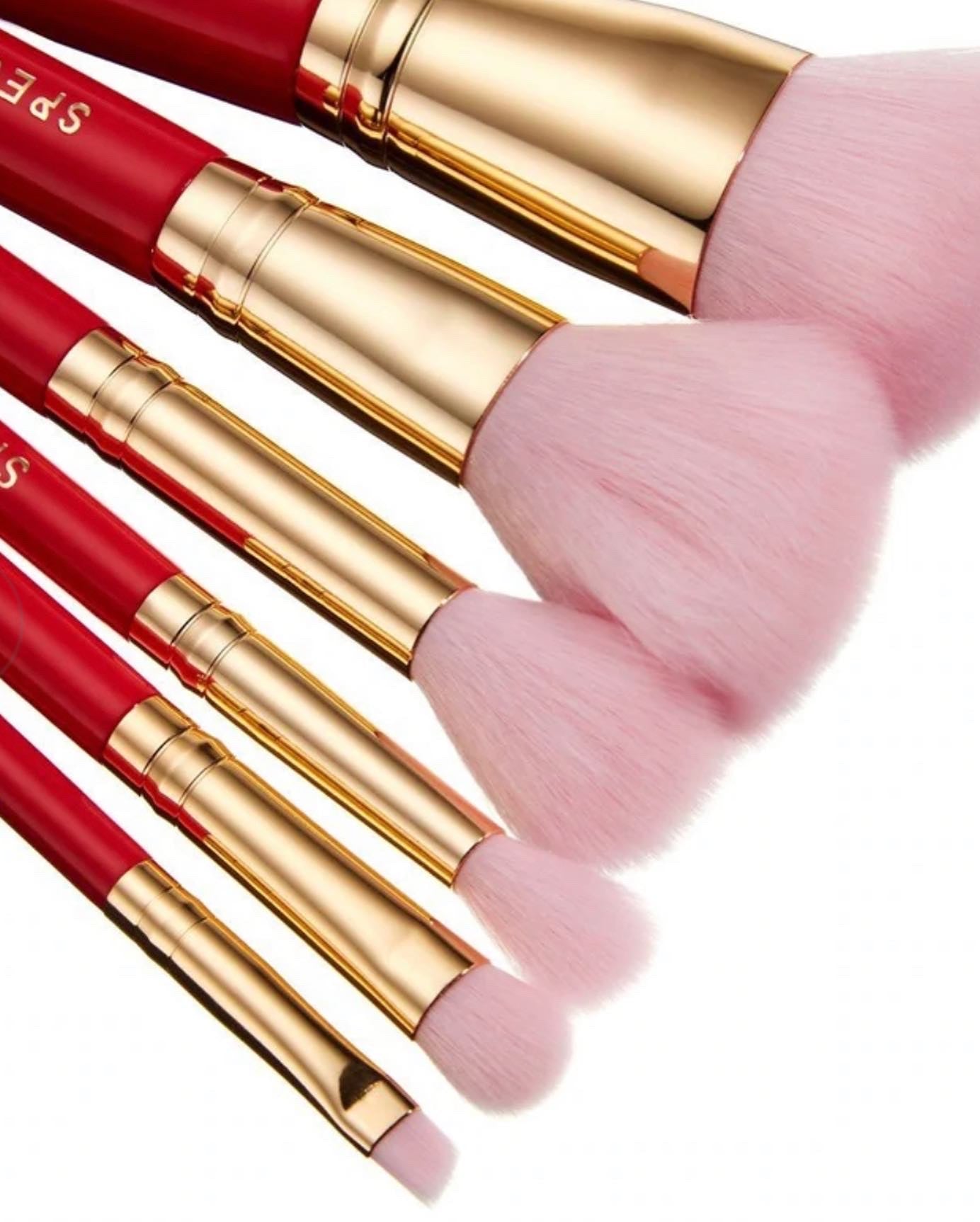 SPECTRUM, MINNIE MOUSE 6 PC BRUSH SET