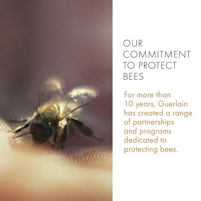 GUERLAIN, ABEILLE ROYALE ADVANCED YOUTH WATERY OIL DISCOVERY SET