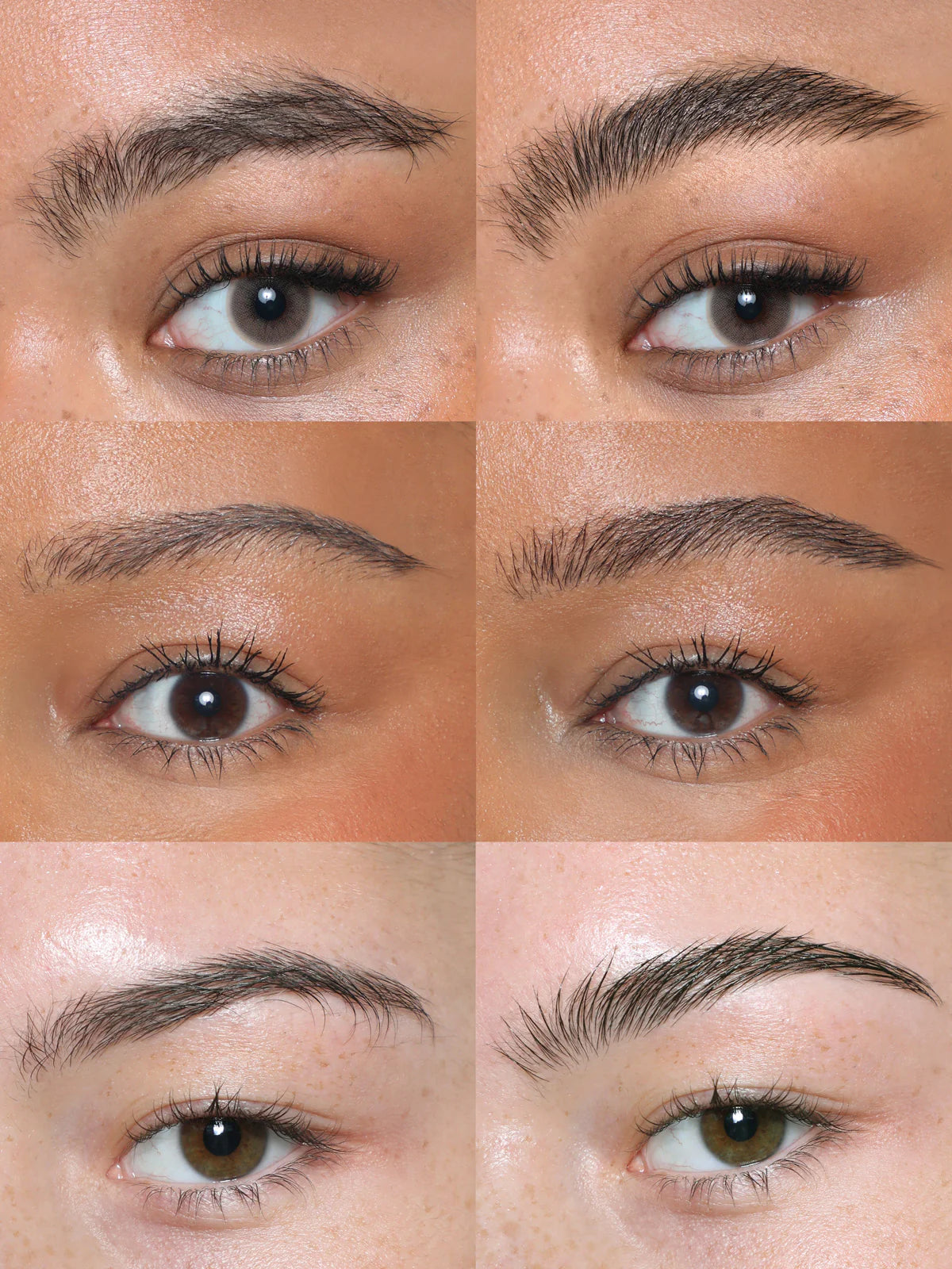 Refy, Brow Tint