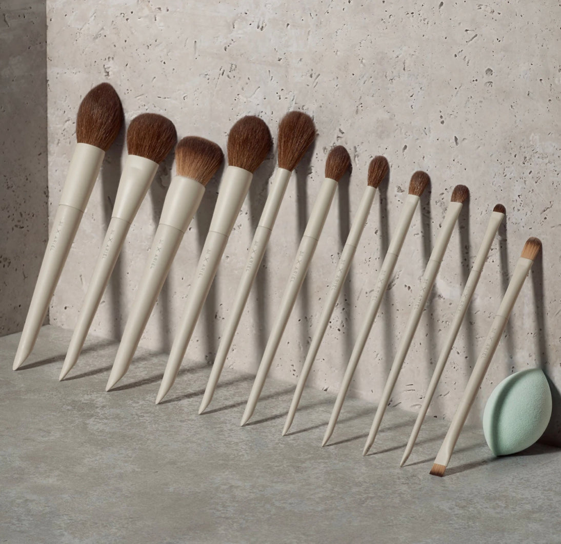 MORPHE, BACK AGAIN, ARIEL SIGNATURE LOOK 12 pc FACE & EYE BRUSH SET