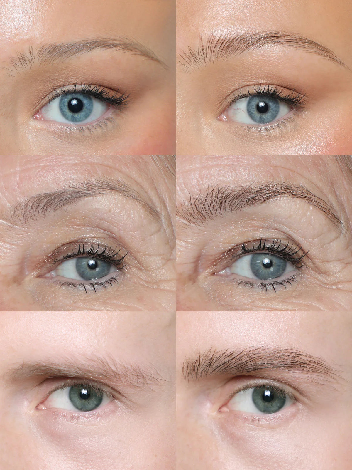 Refy, Brow Tint
