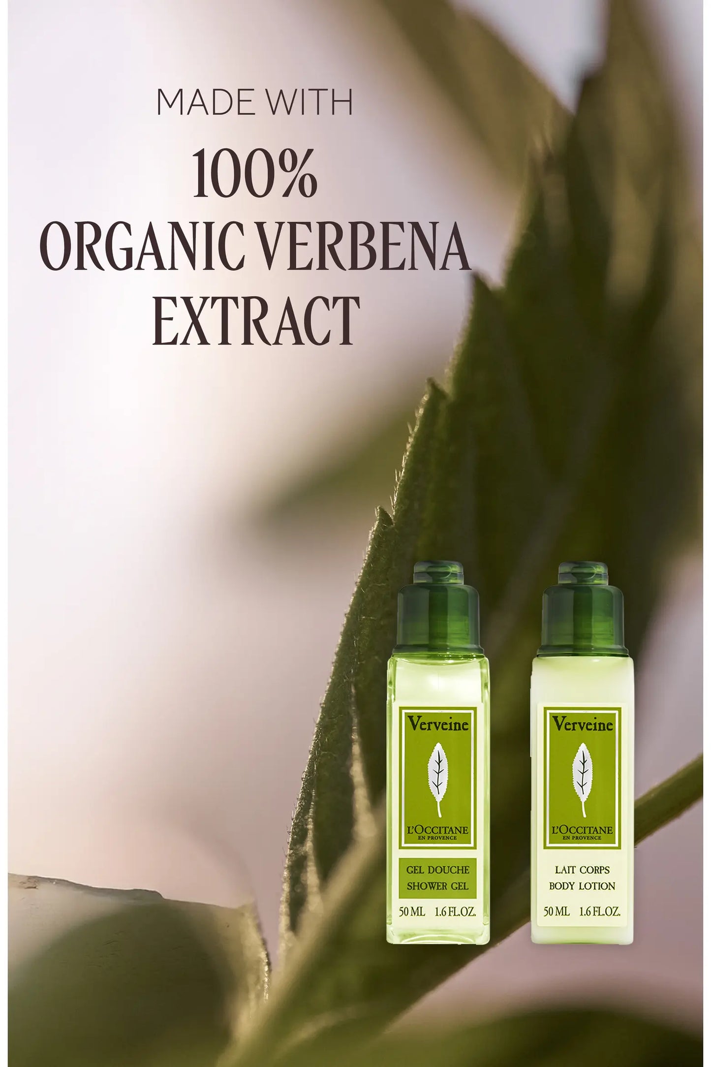 L’Occitane, Advent Calendar Set