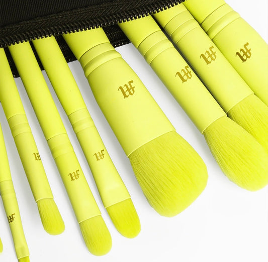 MADE BY MITCHELL, 16 Piece Makeup Brush Set &amp; Brush Pouch