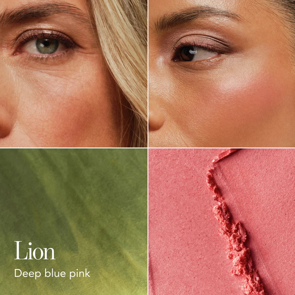 CHANTECAILLE, Cheek Shade Lion Pride