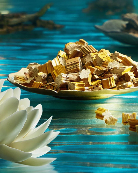 FLORASIS, BLOOMING ROUGE LONG LASTING LIQUID LIPSTICK