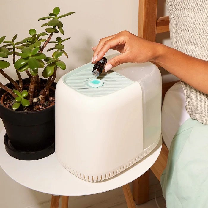 CANOPY, THE CANOPY HUMIDIFIER STARTER SET