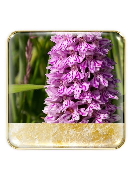 Chantecaille Wild Meadows Eye Quartet, Edición limitada.