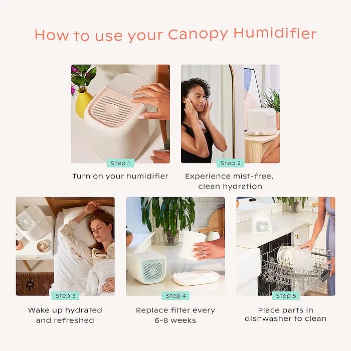CANOPY, THE CANOPY HUMIDIFIER STARTER SET