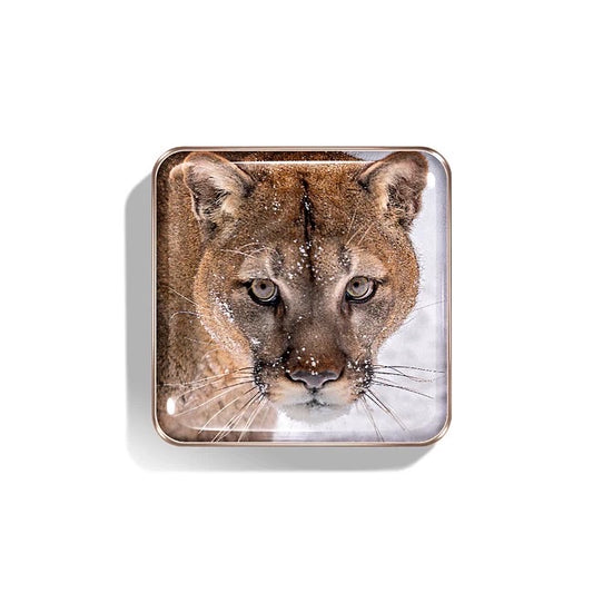 CHANTECAILLE, THE COUGAR EYE QUARTET