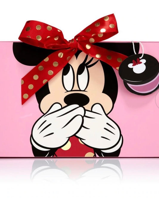 SPECTRUM, MINNIE MOUSE 6 PC BRUSH SET